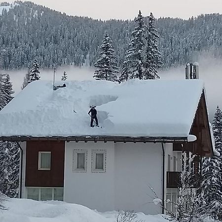 Hotel Ca' del Bosco Selva di Cadore Exterior foto