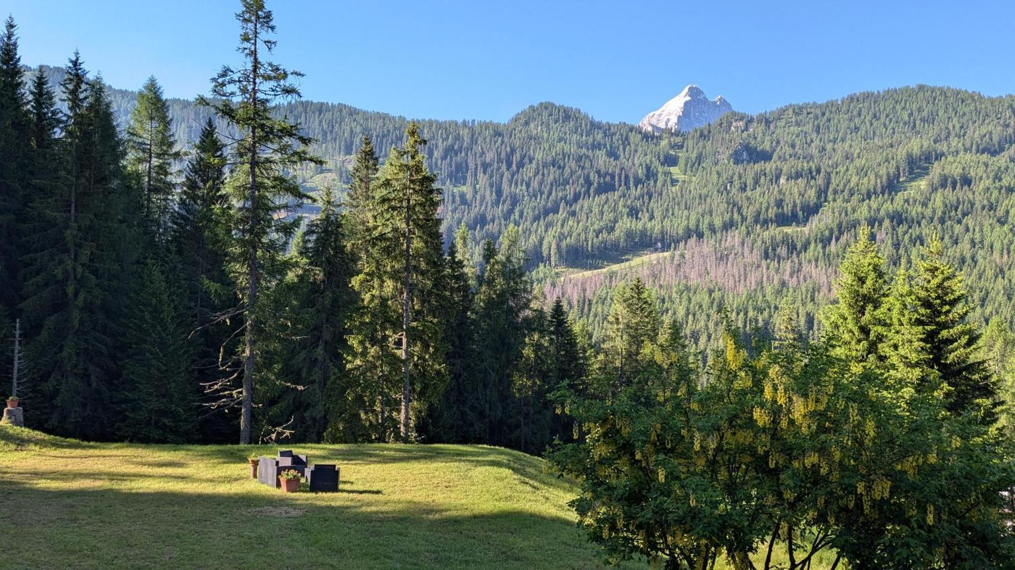 Hotel Ca' del Bosco Selva di Cadore Exterior foto
