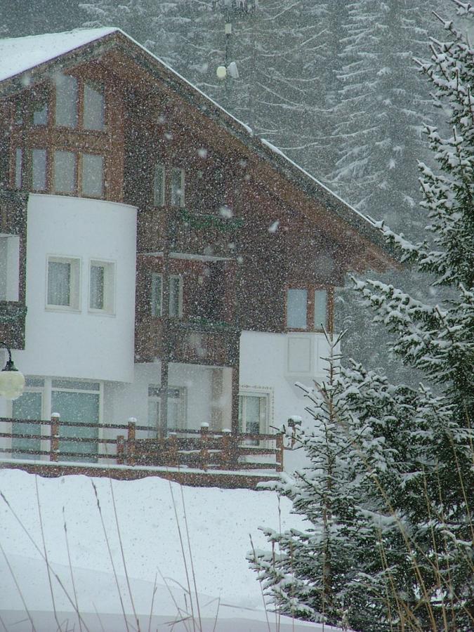 Hotel Ca' del Bosco Selva di Cadore Exterior foto